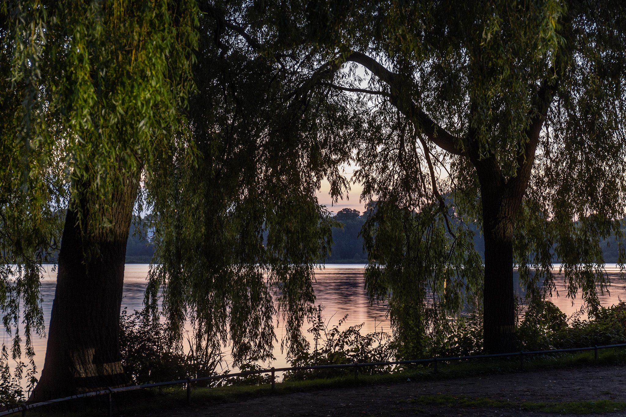 Die abendliche Alster versteckt hinter Bäumen